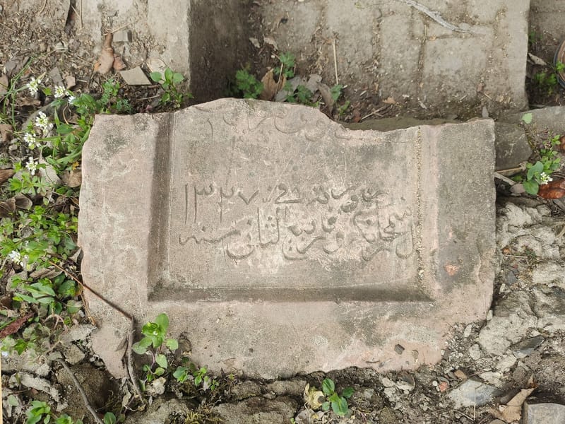 Historic ruin within the Tbilisi National Botanical Garden